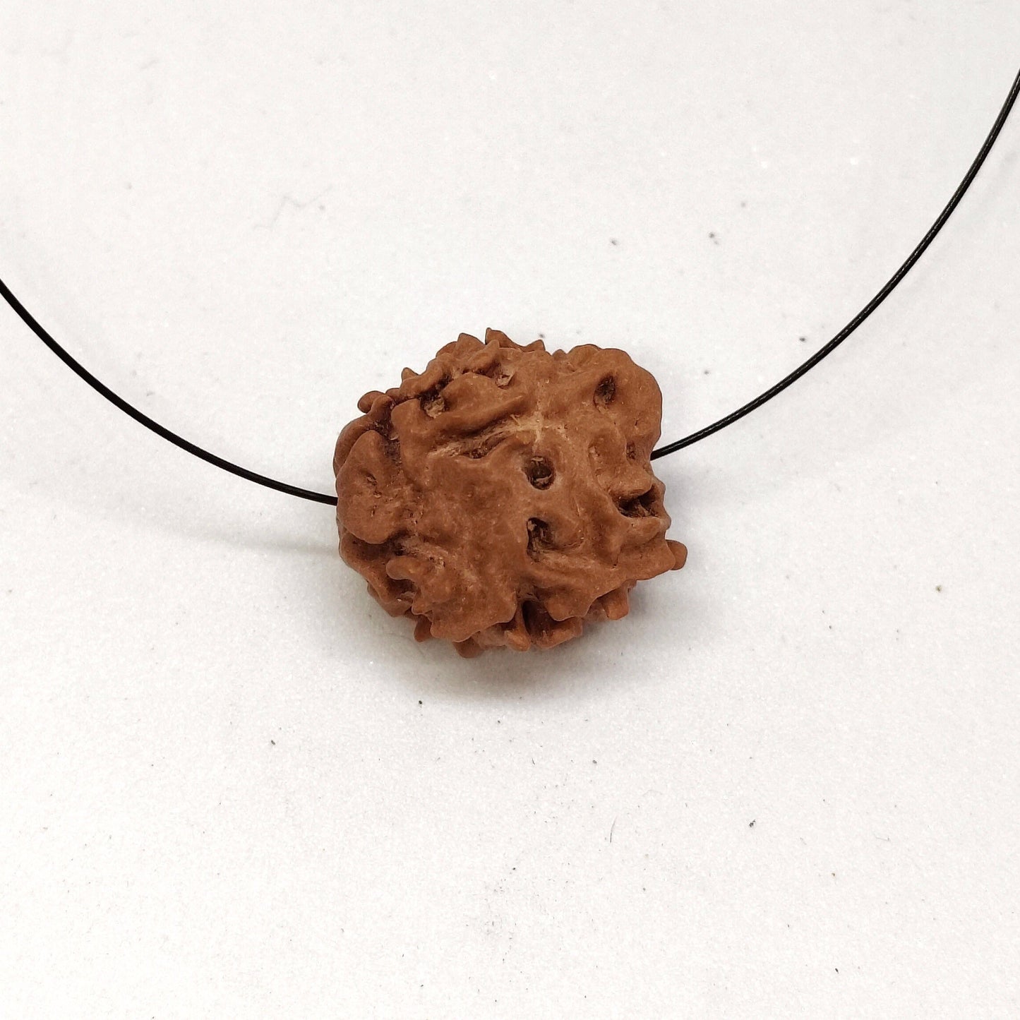 1 Mukhi Rudraksha | Nepal Origin | Big Size Round