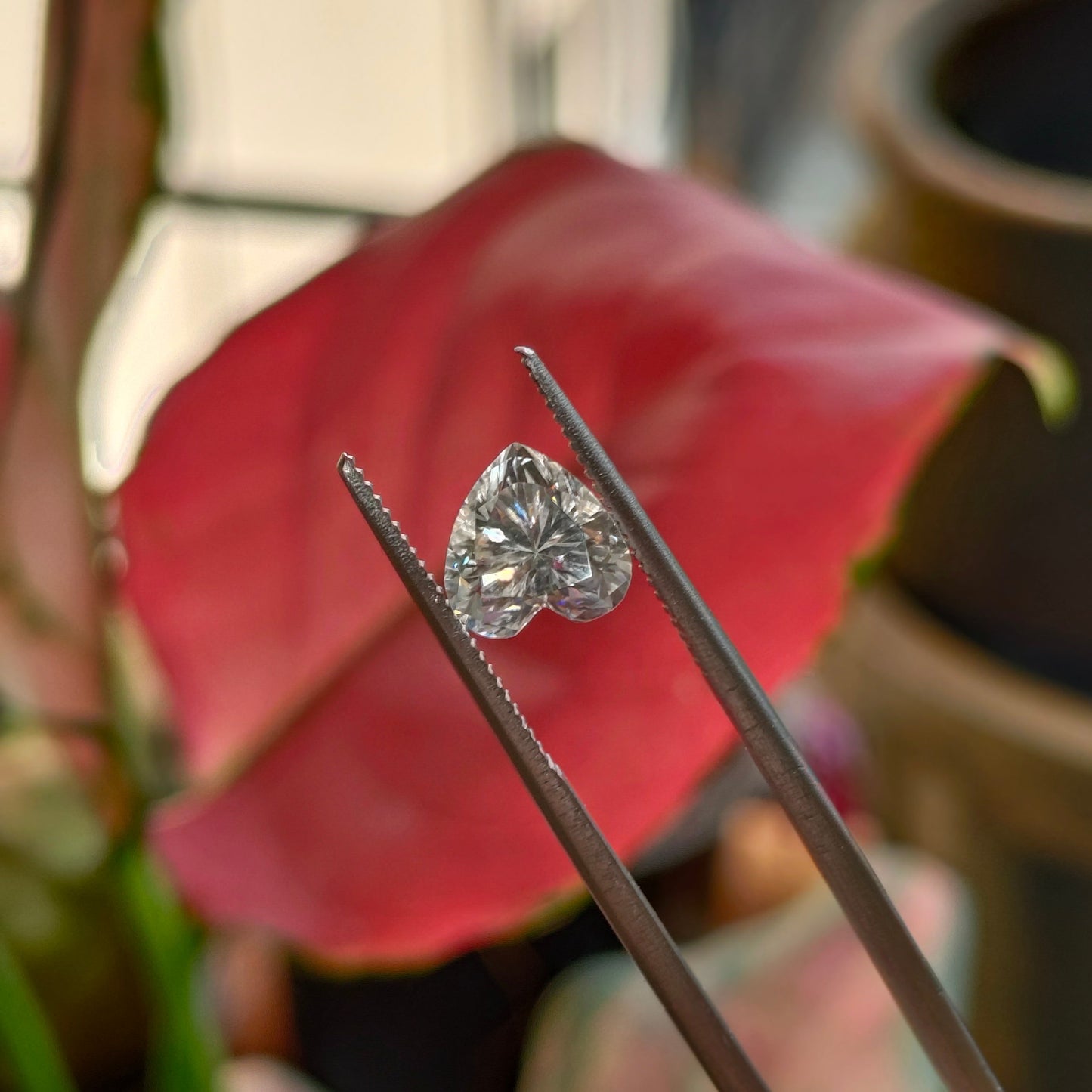 Moissanite Heart Cut | GRA Certified Laser Engraved Loose Gemstone