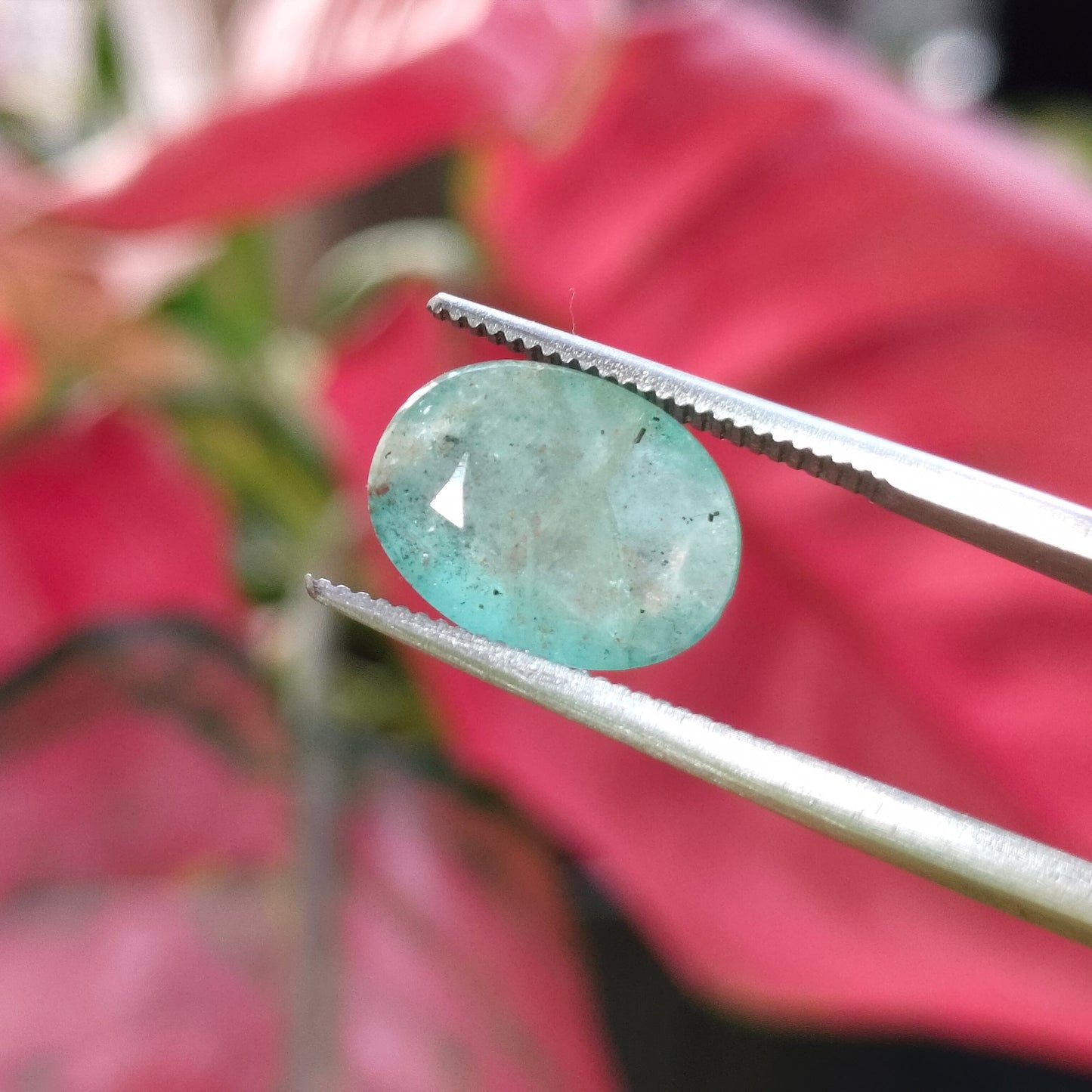 Natural Green Zambian Emerald | Certified Loose Gemstone