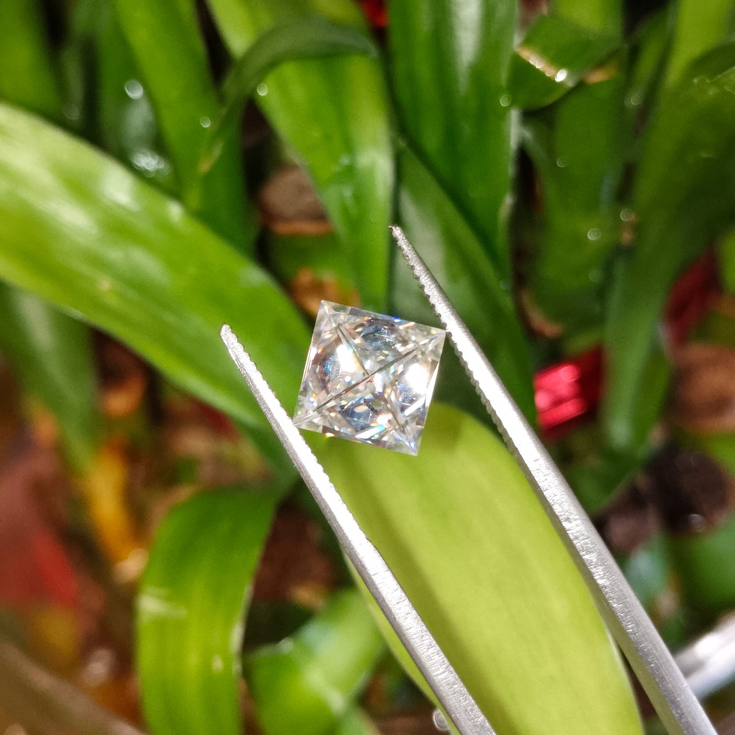 Moissanite Princess Cut | GRA Certified Laser Engraved Loose Gemstone