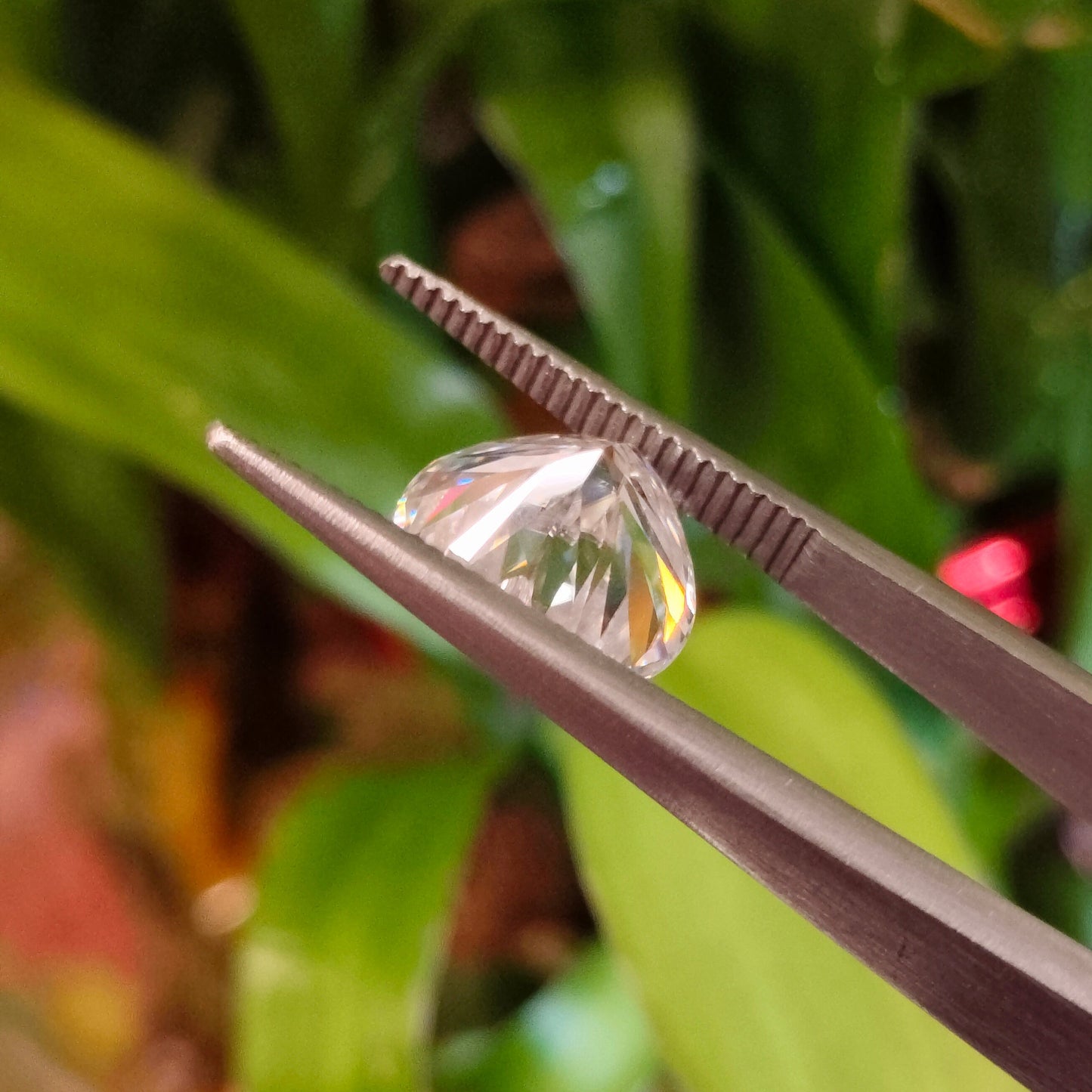 Moissanite Heart Cut | GRA Certified Laser Engraved Loose Gemstone