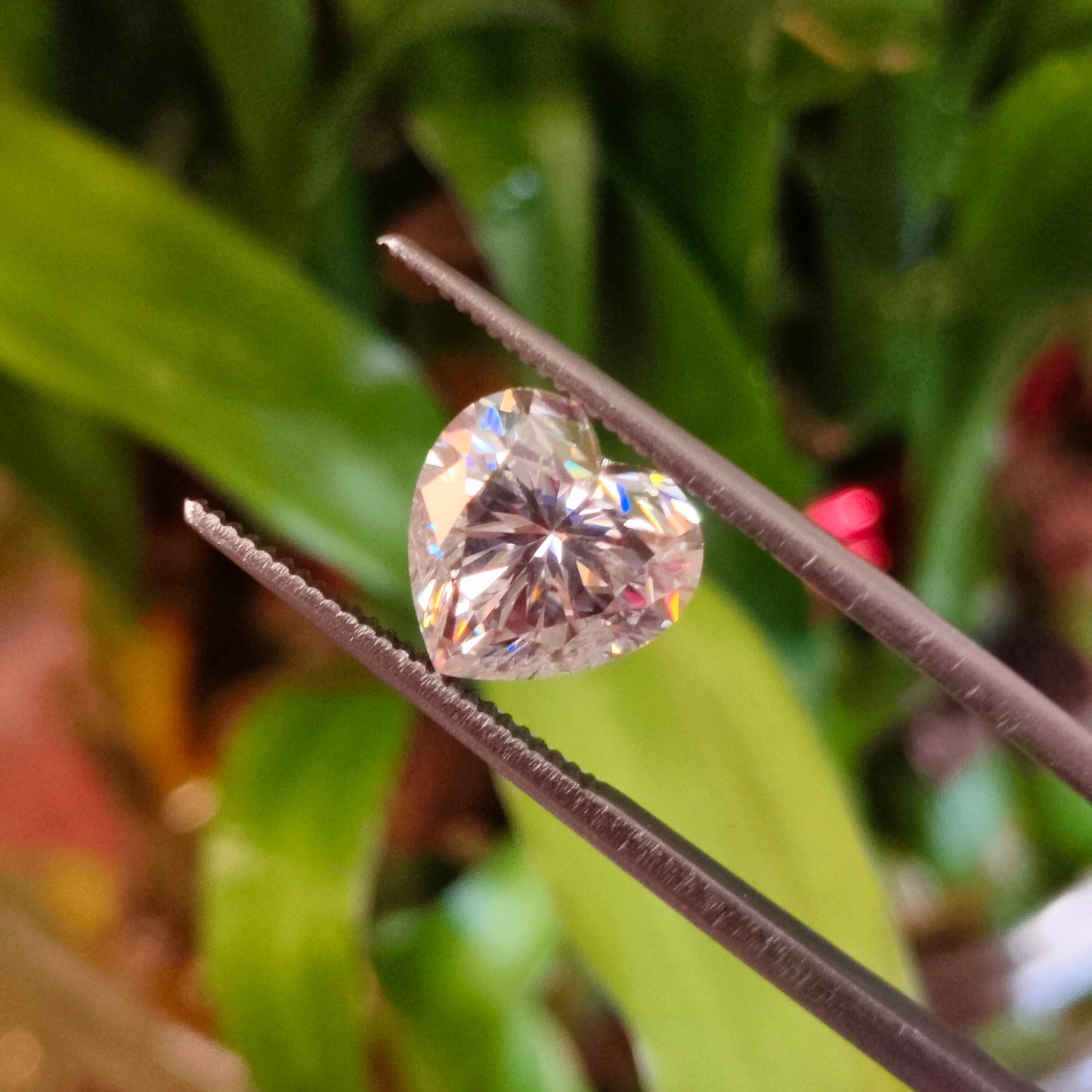 Moissanite Heart Cut | GRA Certified Laser Engraved Loose Gemstone