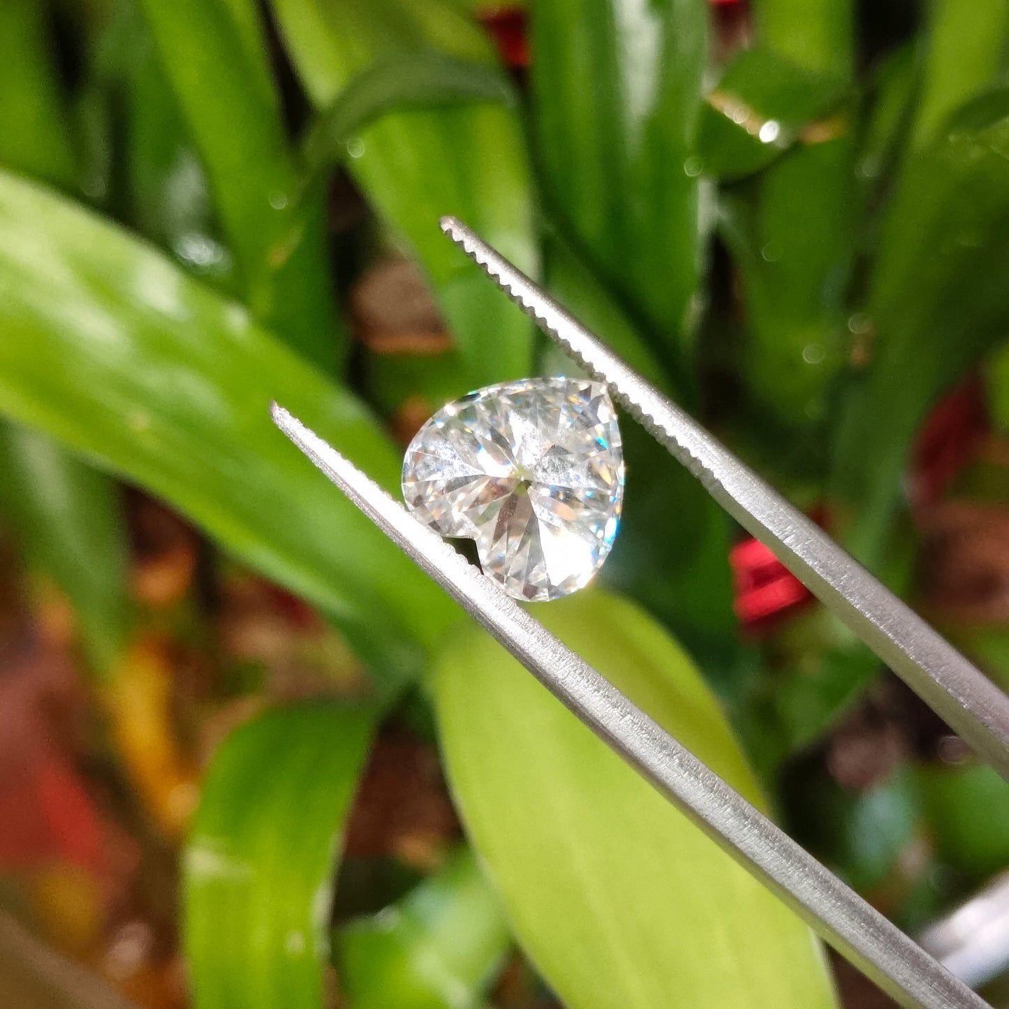 Moissanite Heart Cut | GRA Certified Laser Engraved Loose Gemstone