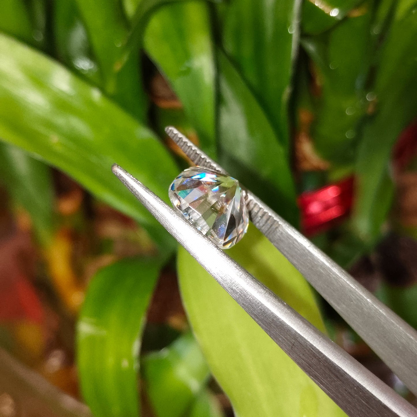 Moissanite Cushion Cut | GRA Certified Laser Engraved Loose Gemstone