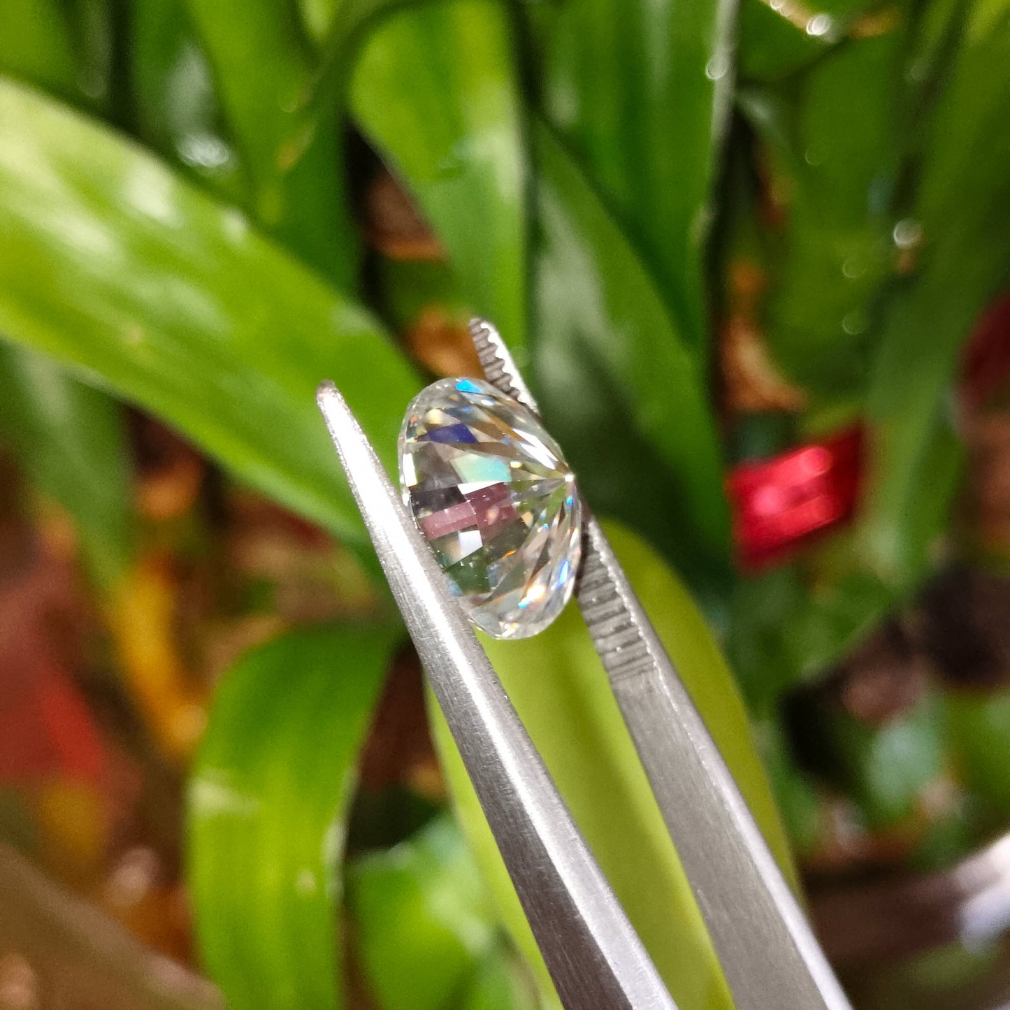 Moissanite Oval Cut | GRA Certified Laser Engraved Loose Gemstone