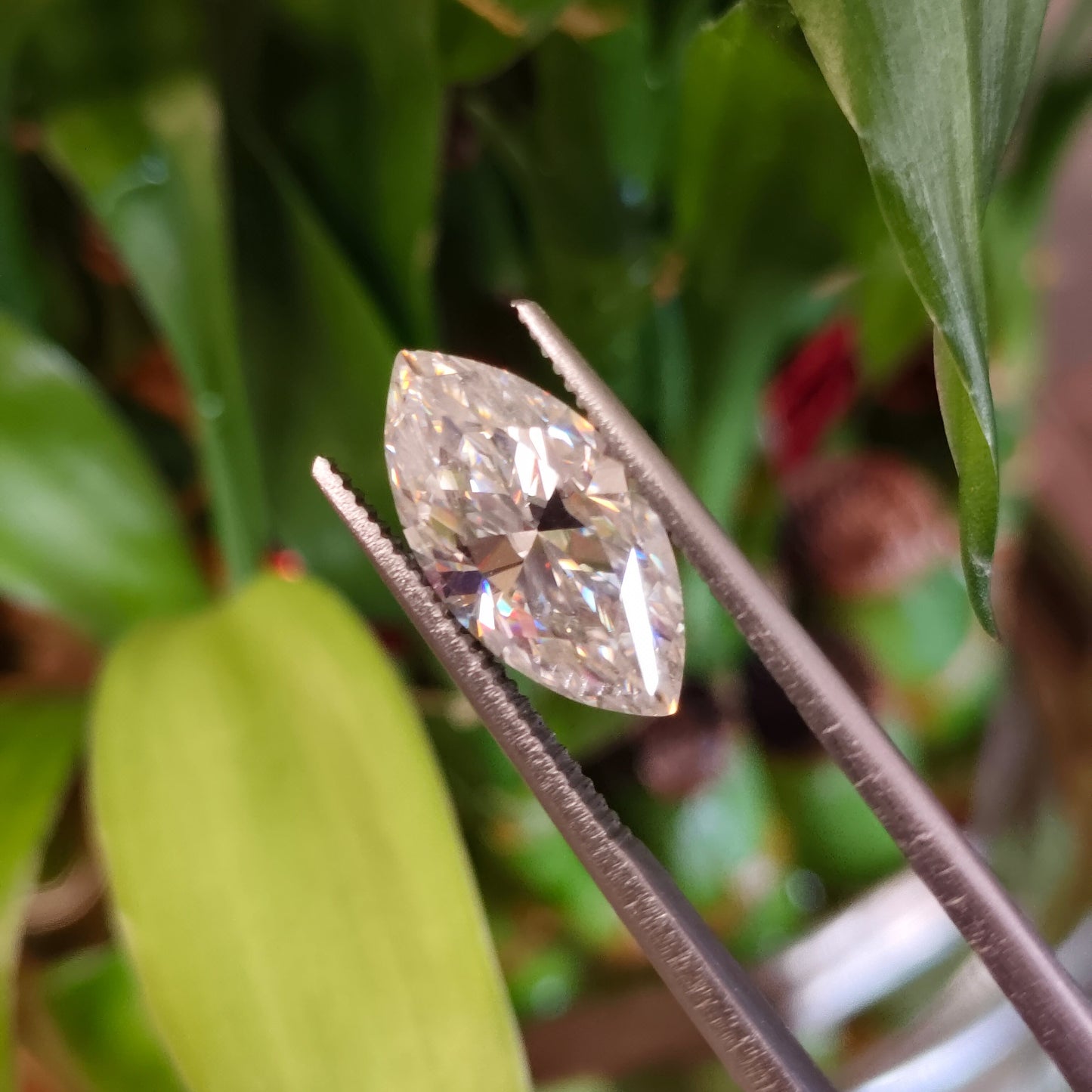 Moissanite Marquise Cut | GRA Certified Laser Engraved Loose Gemstone