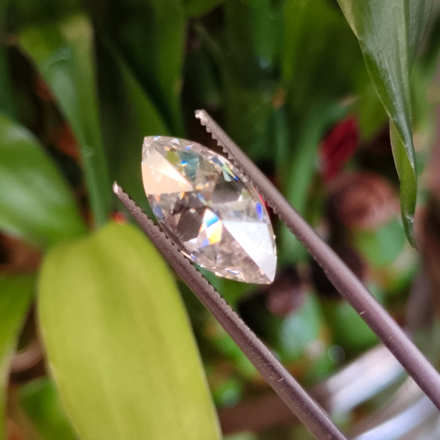 Moissanite Marquise Cut | GRA Certified Laser Engraved Loose Gemstone