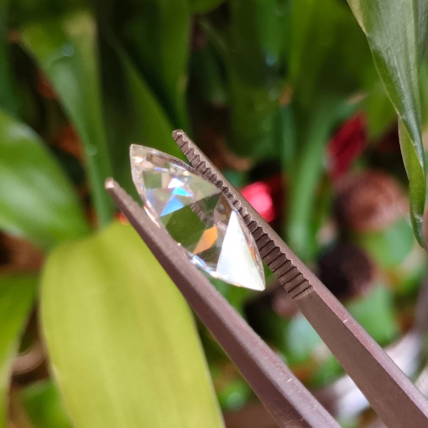 Moissanite Marquise Cut | GRA Certified Laser Engraved Loose Gemstone