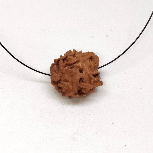 1 Mukhi Rudraksha | Nepal Origin | Big Size Round