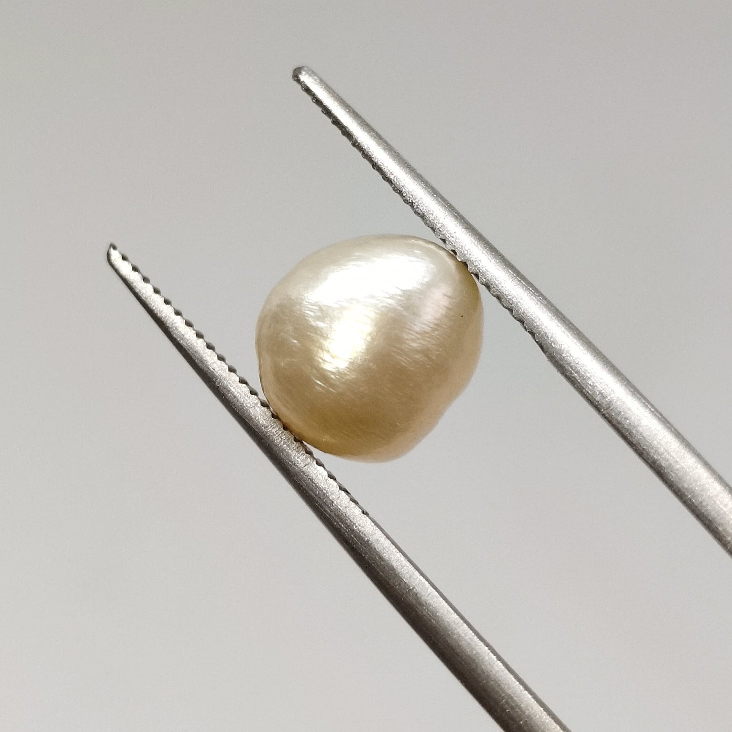 Natural Freshwater Baroque Pearl | Certified Loose Gemstone