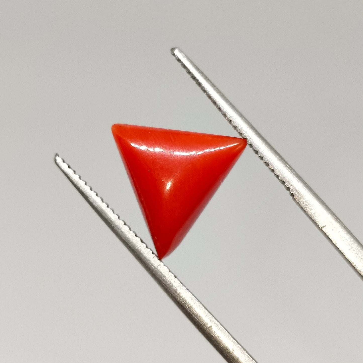 Natural Italian Red Coral | Certified Loose Gemstone