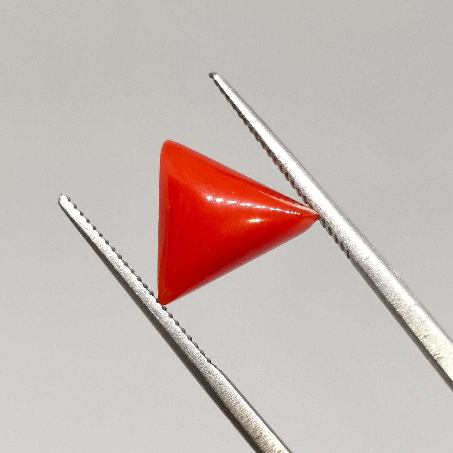 Natural Italian Red Coral | Certified Loose Gemstone