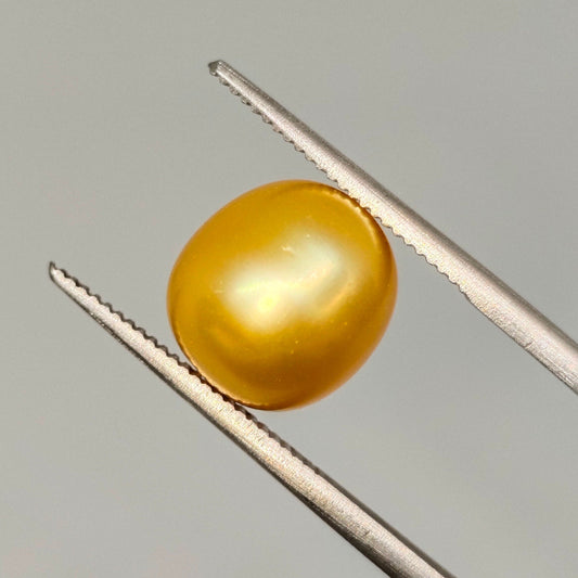 Natural South Sea Golden Pearl | Certified Loose Gemstone